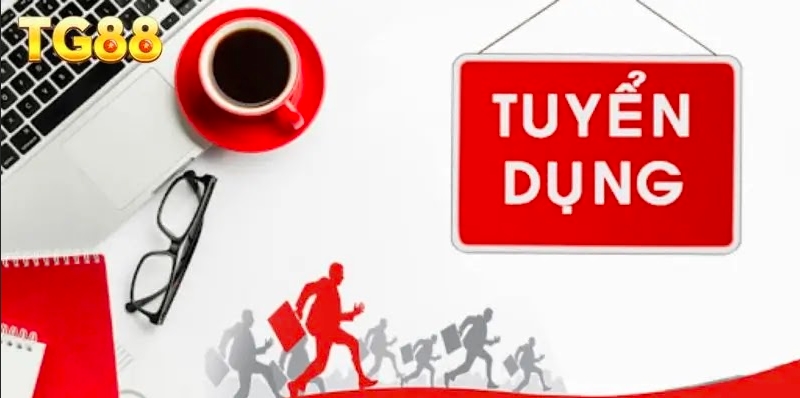 Chuyên viên phát triển ứng tuyển